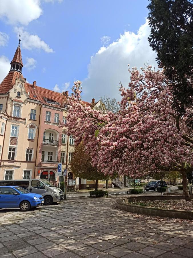 Apartament Rozeta Centrum 6Os Legnica Exteriör bild