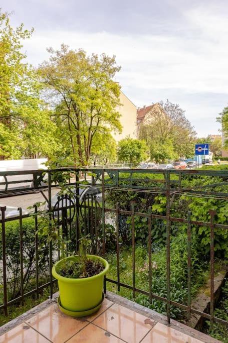 Apartament Rozeta Centrum 6Os Legnica Exteriör bild
